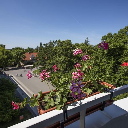 Hotel Bellevue Tlapak Podebrady Phòng bức ảnh