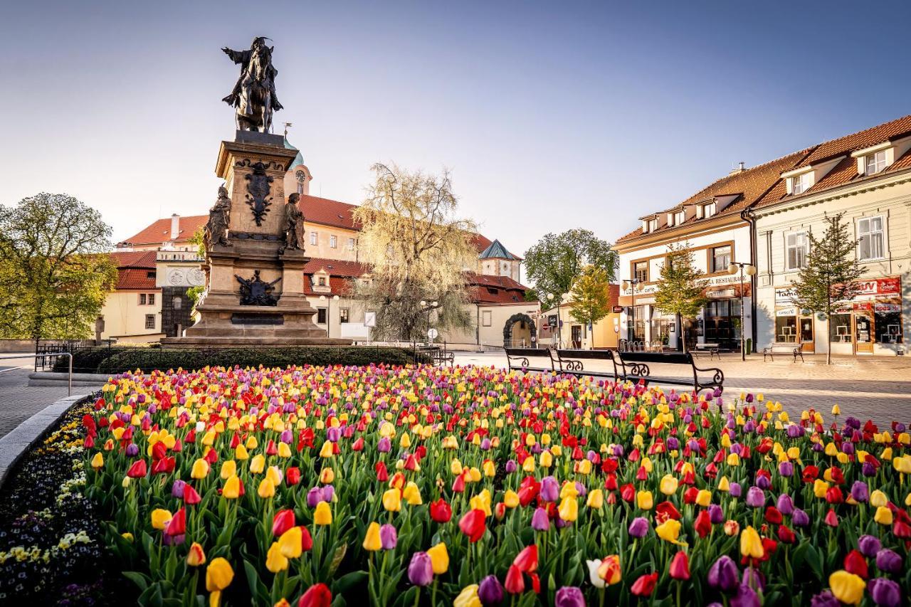 Hotel Bellevue Tlapak Podebrady Ngoại thất bức ảnh