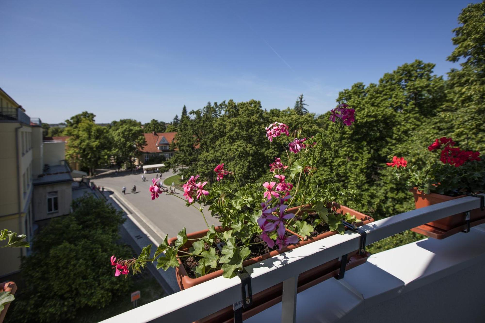 Hotel Bellevue Tlapak Podebrady Phòng bức ảnh